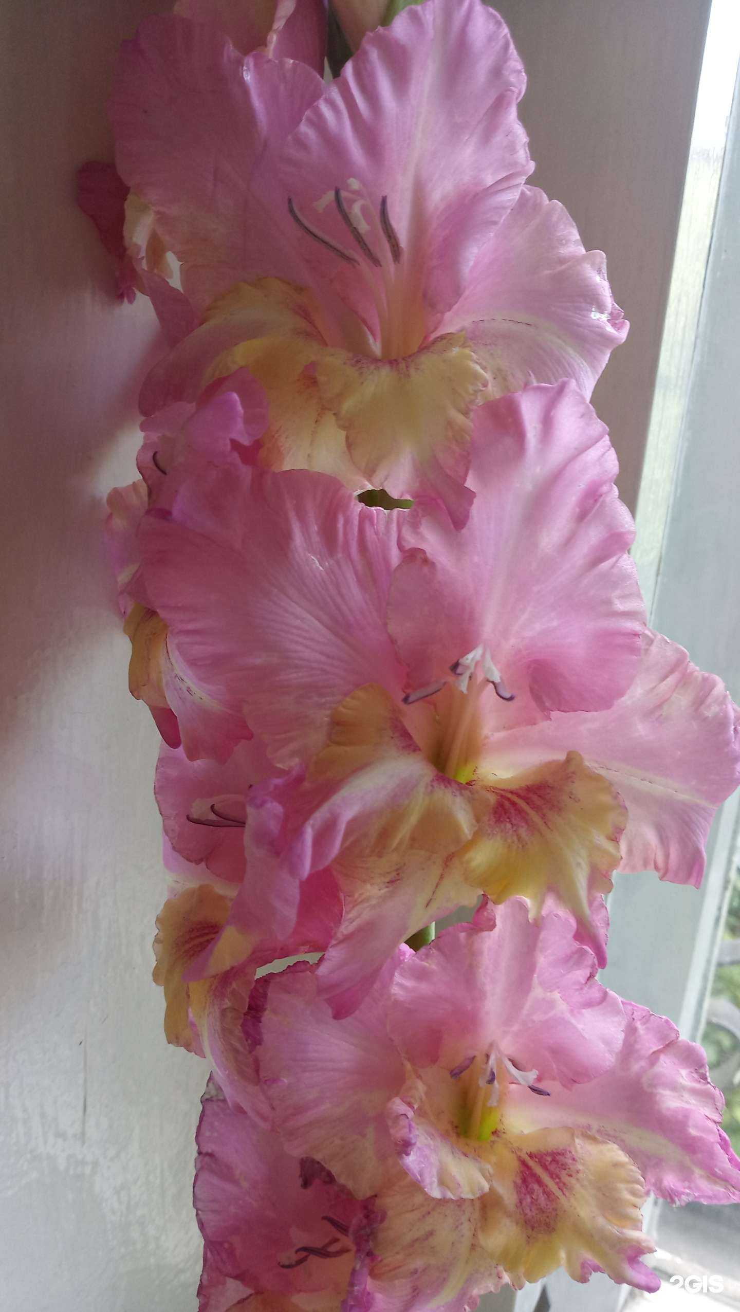 Отзывы на компанию Селена в Самаре c фото