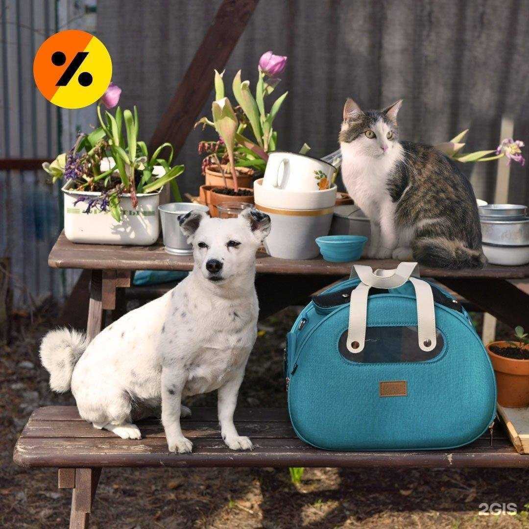 Отзывы на компанию Четыре лапы в г. Орёл c фото