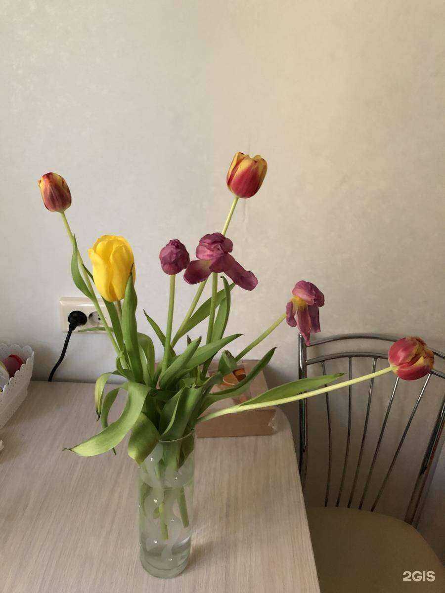 Отзывы на компанию Людмила в г. Красноярск c фото