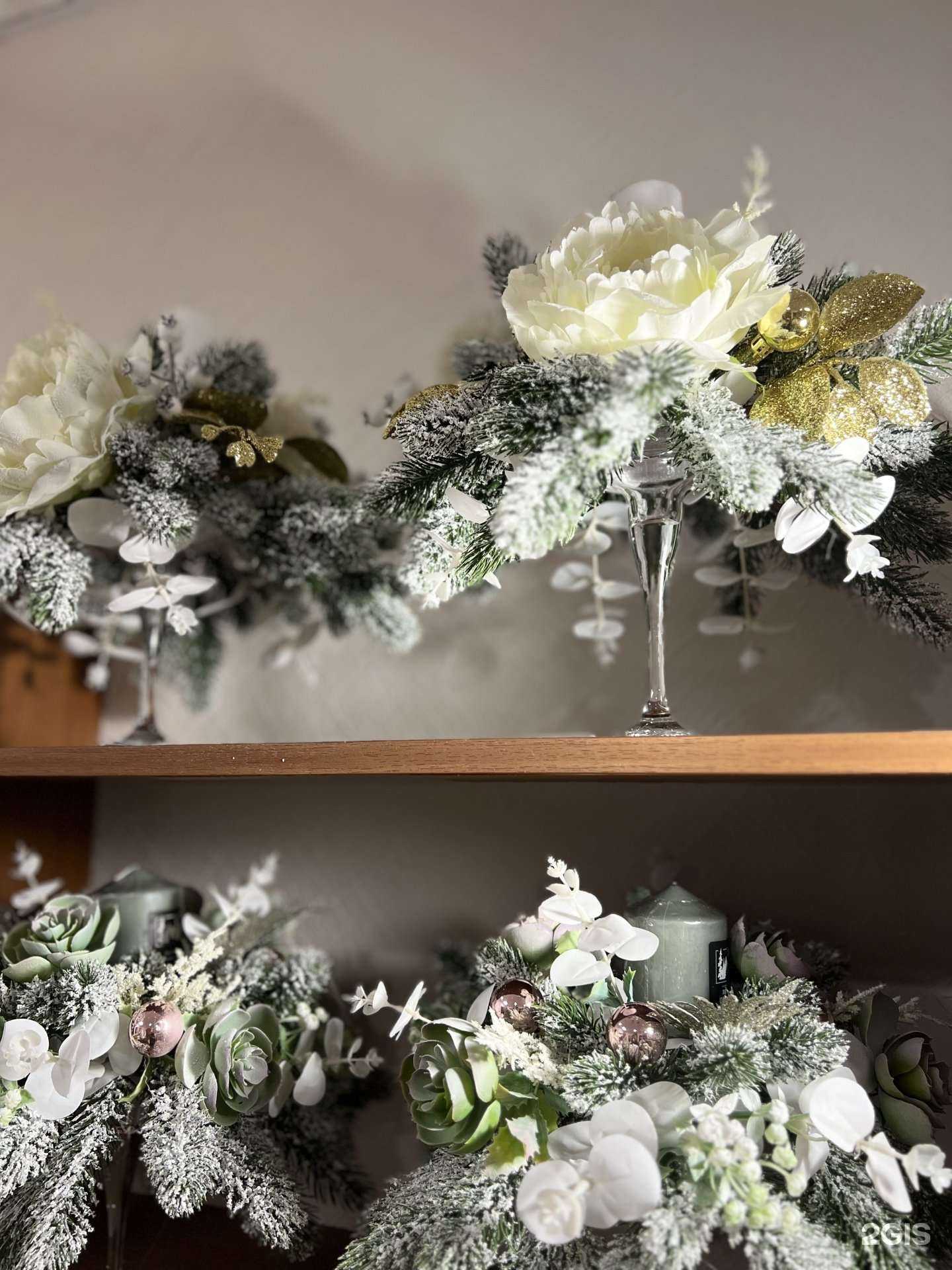 Отзывы на компанию Северный Оазис в г. Сургут c фото