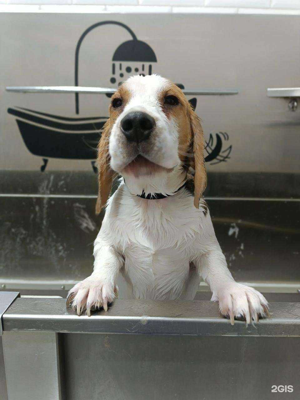 Отзывы на компанию Богема в Ульяновске c фото