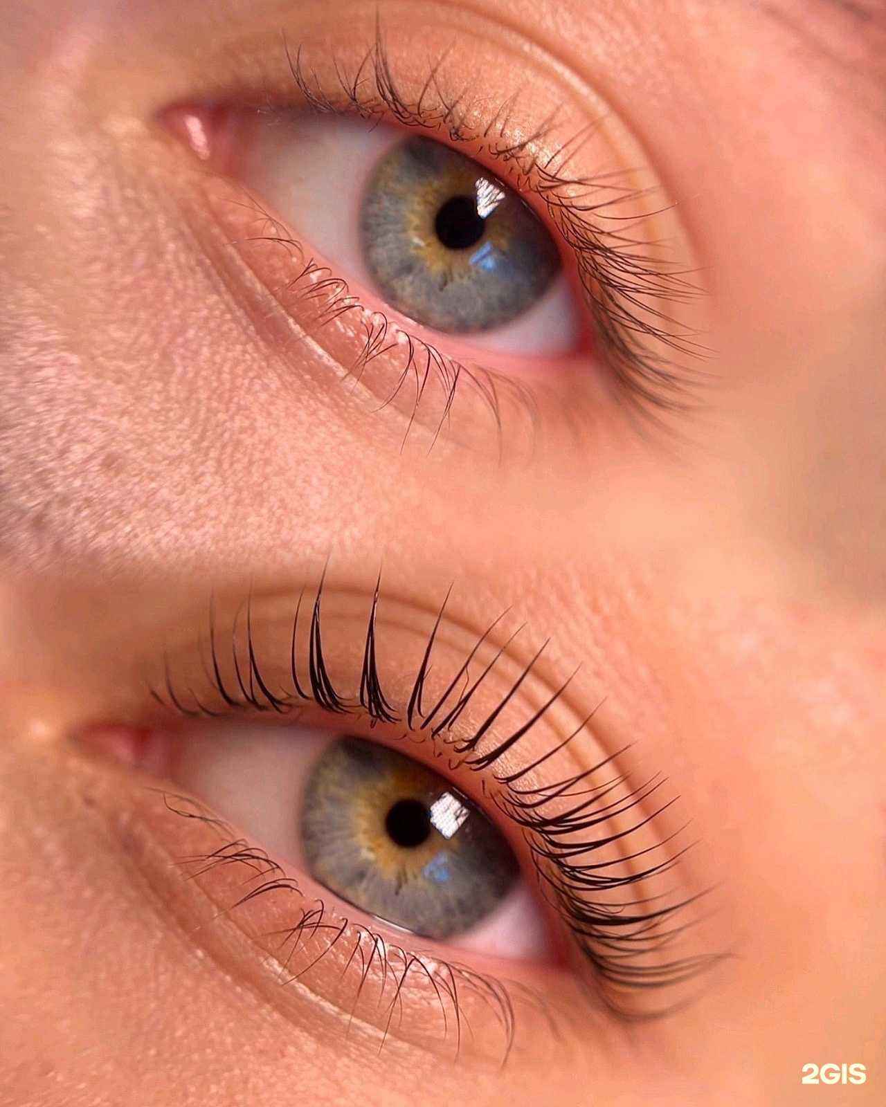 Отзывы на компанию Svtkooty в г. Владивосток c фото