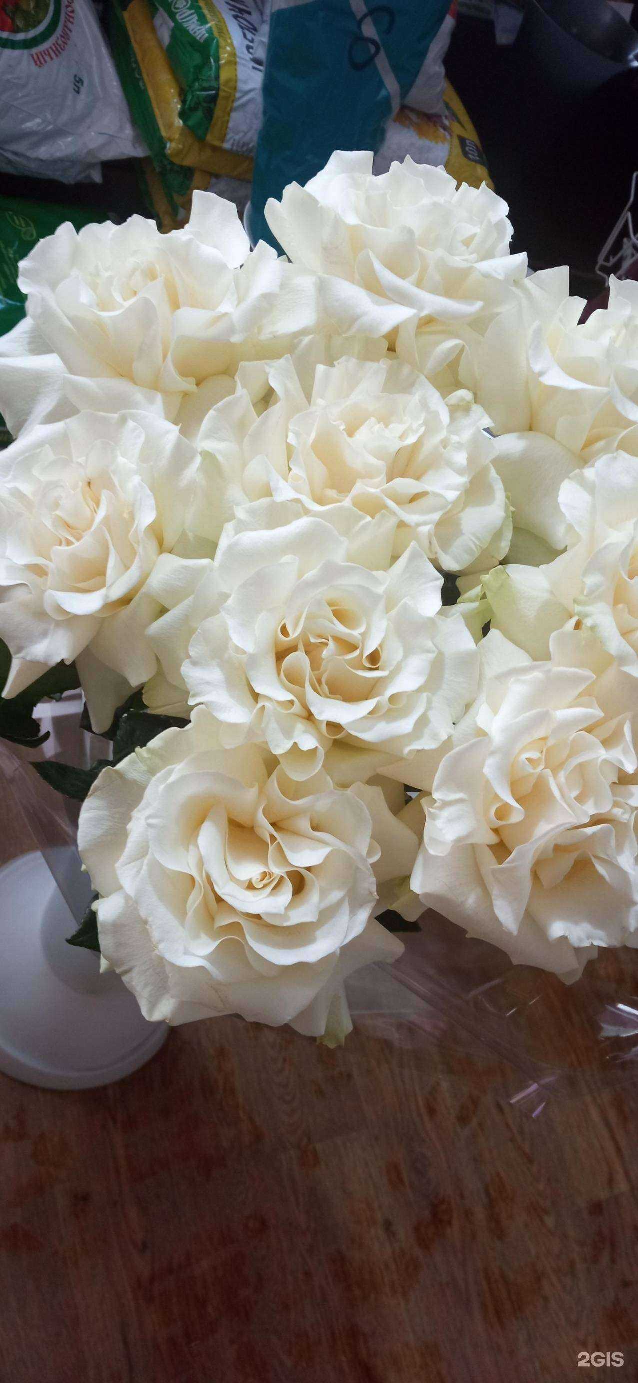 Отзывы на компанию Цветы love в Перми c фото