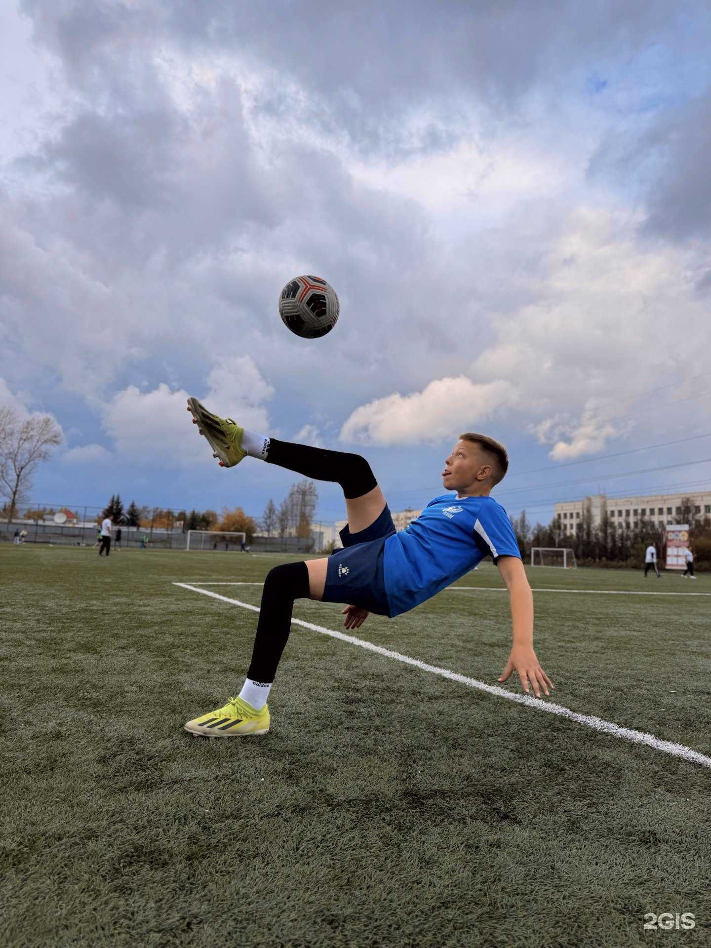 Отзывы на компанию Regista в Златоусте c фото