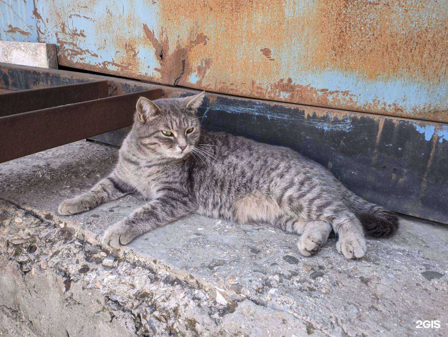 Отзывы на компанию ЭтноМир Кавказа в Махачкале c фото - фотография 2 из 2