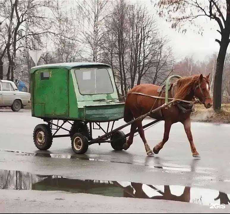 Отзывы на компанию Сибирский центр экспертиз и оценки в г. Новокузнецк c фото