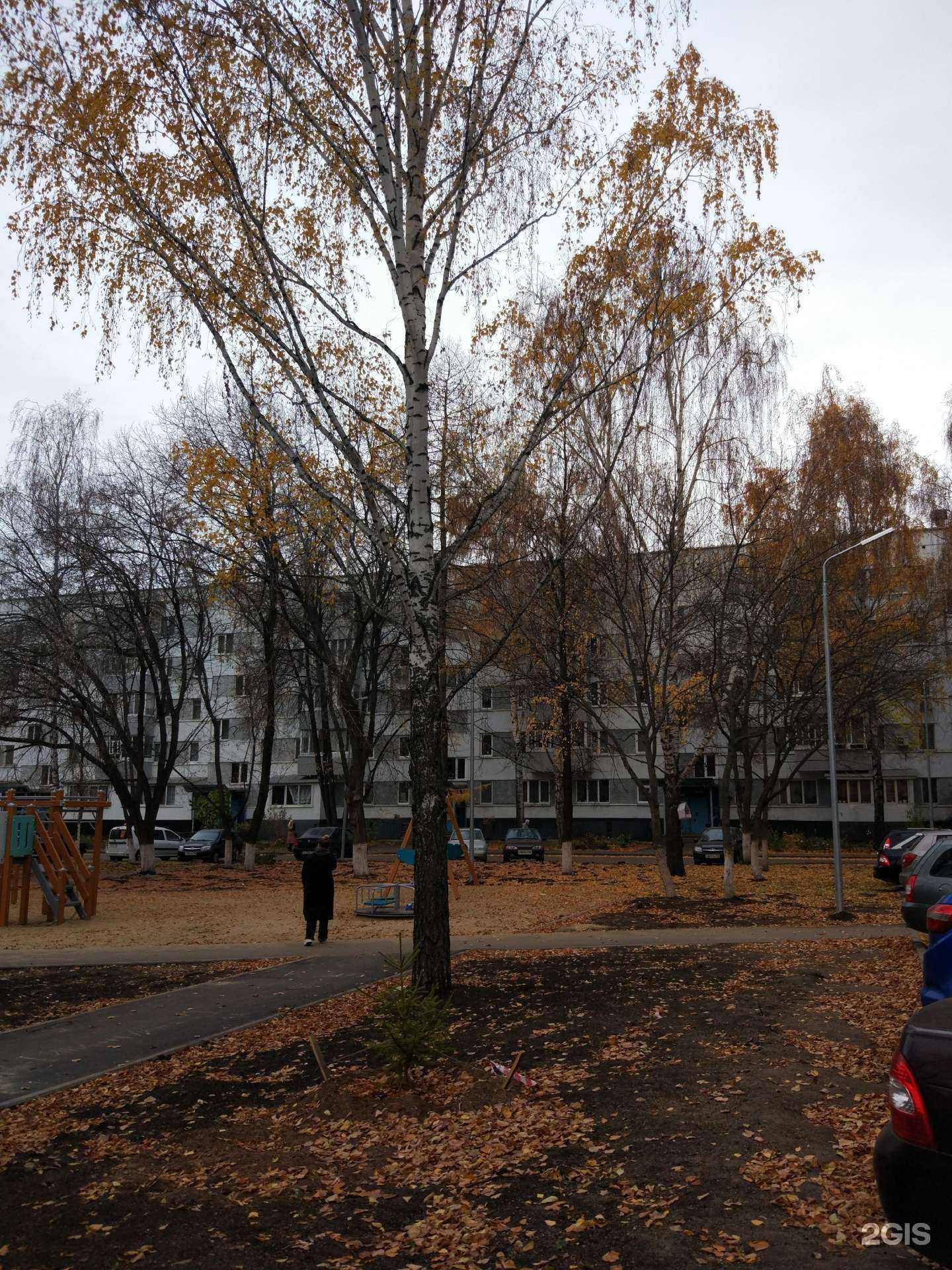 Отзывы на компанию Bogart в Набережных Челнах c фото - фотография 2 из 2