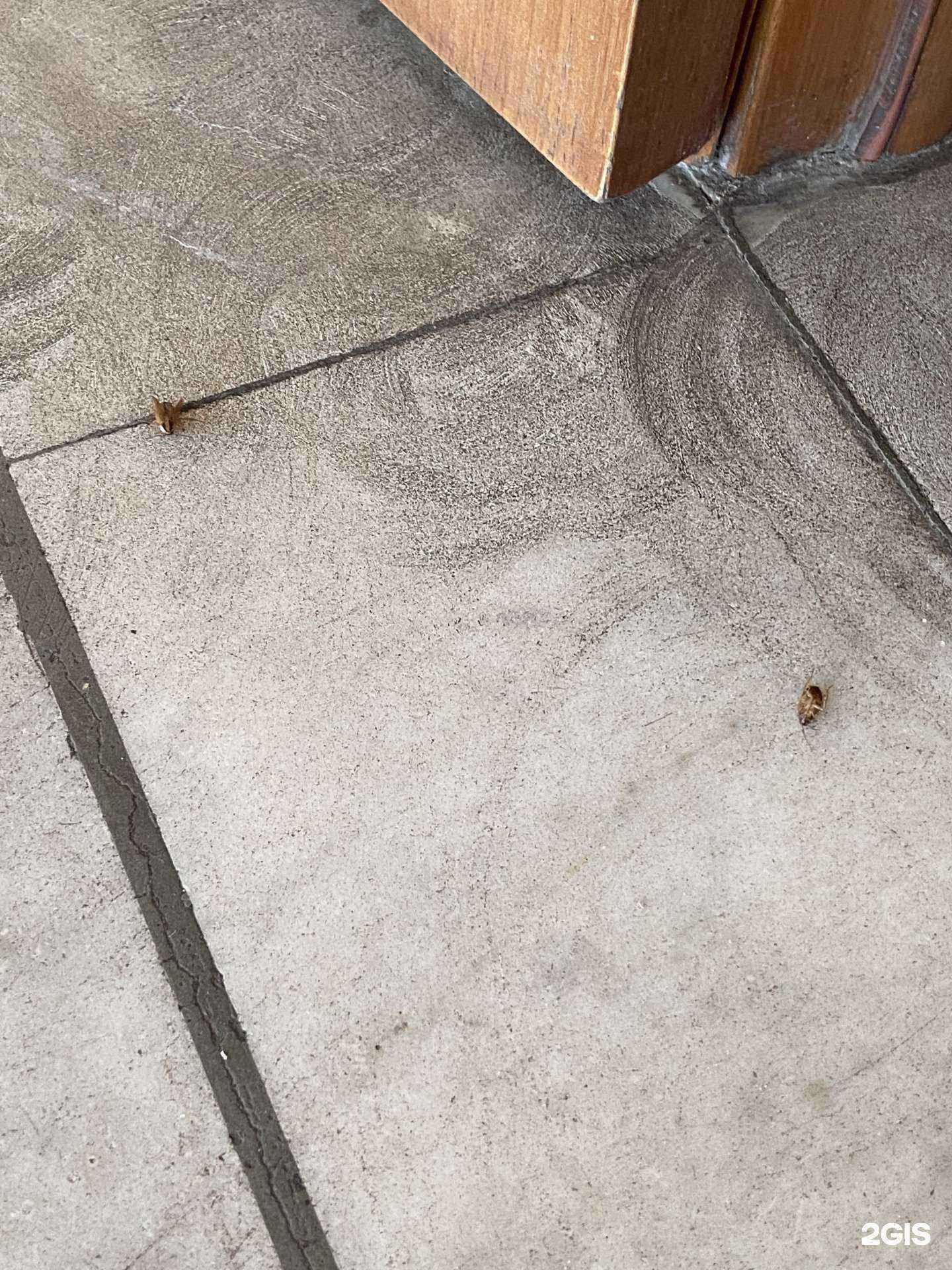 Отзывы на компанию Университетская в г. Ульяновск c фото