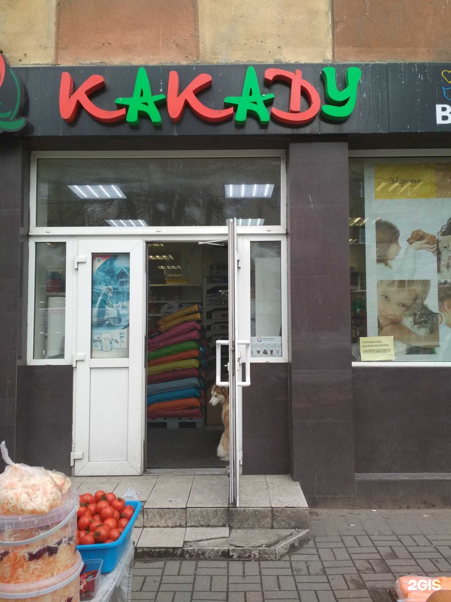 Отзывы на компанию Какаду в Калининграде c фото