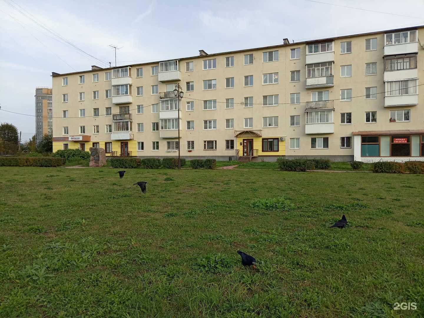 Отзывы на компанию Независимая экспертиза в Твери c фото - фотография 2 из 2