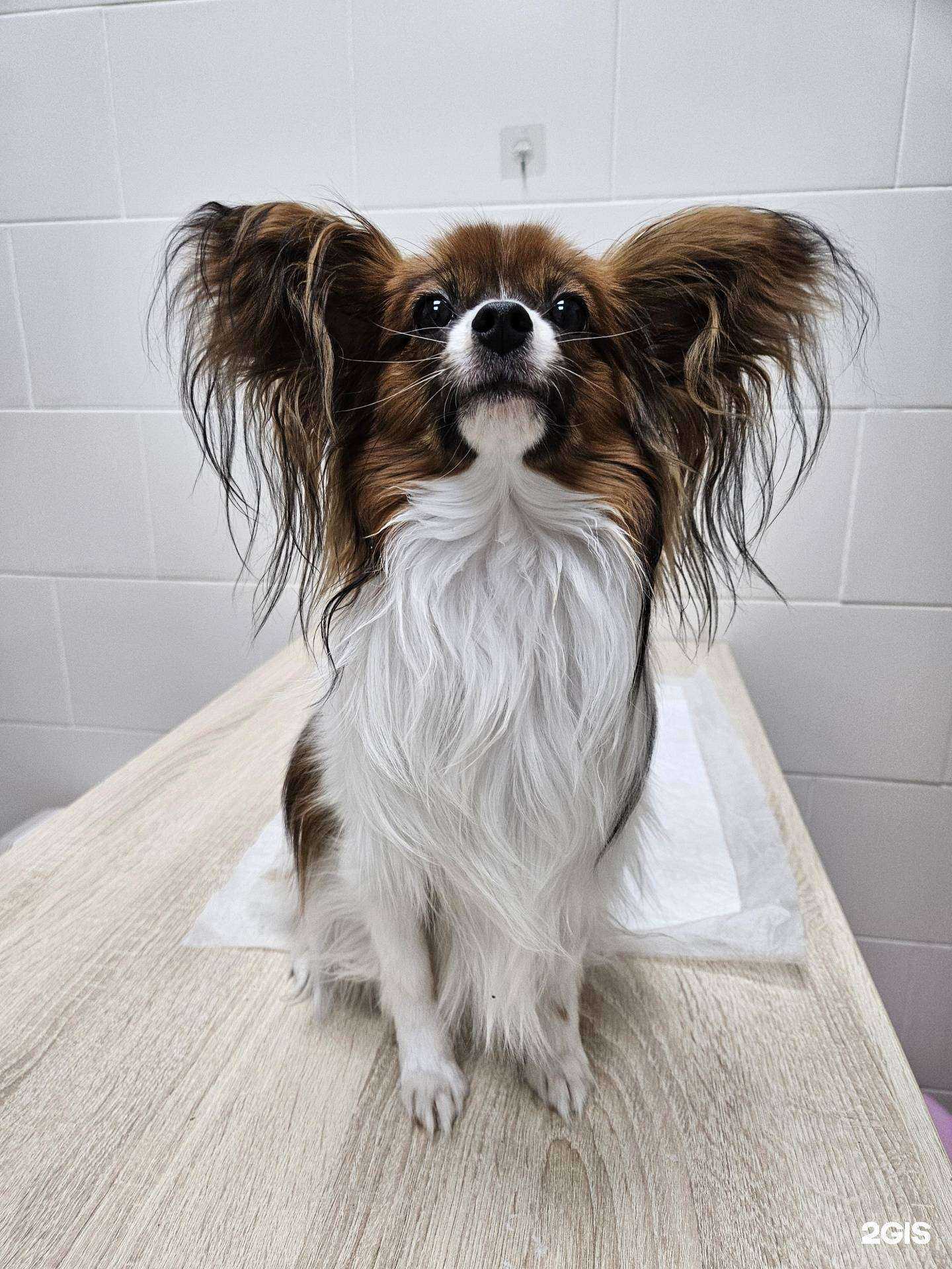 Отзывы на компанию Умка в Тюмени c фото