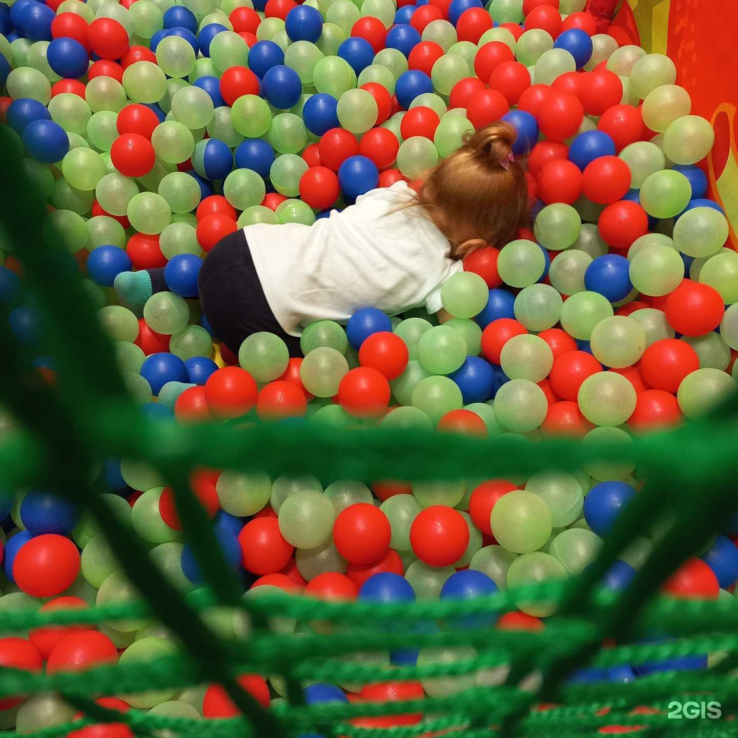 Отзывы на компанию Томато в Воронеже c фото