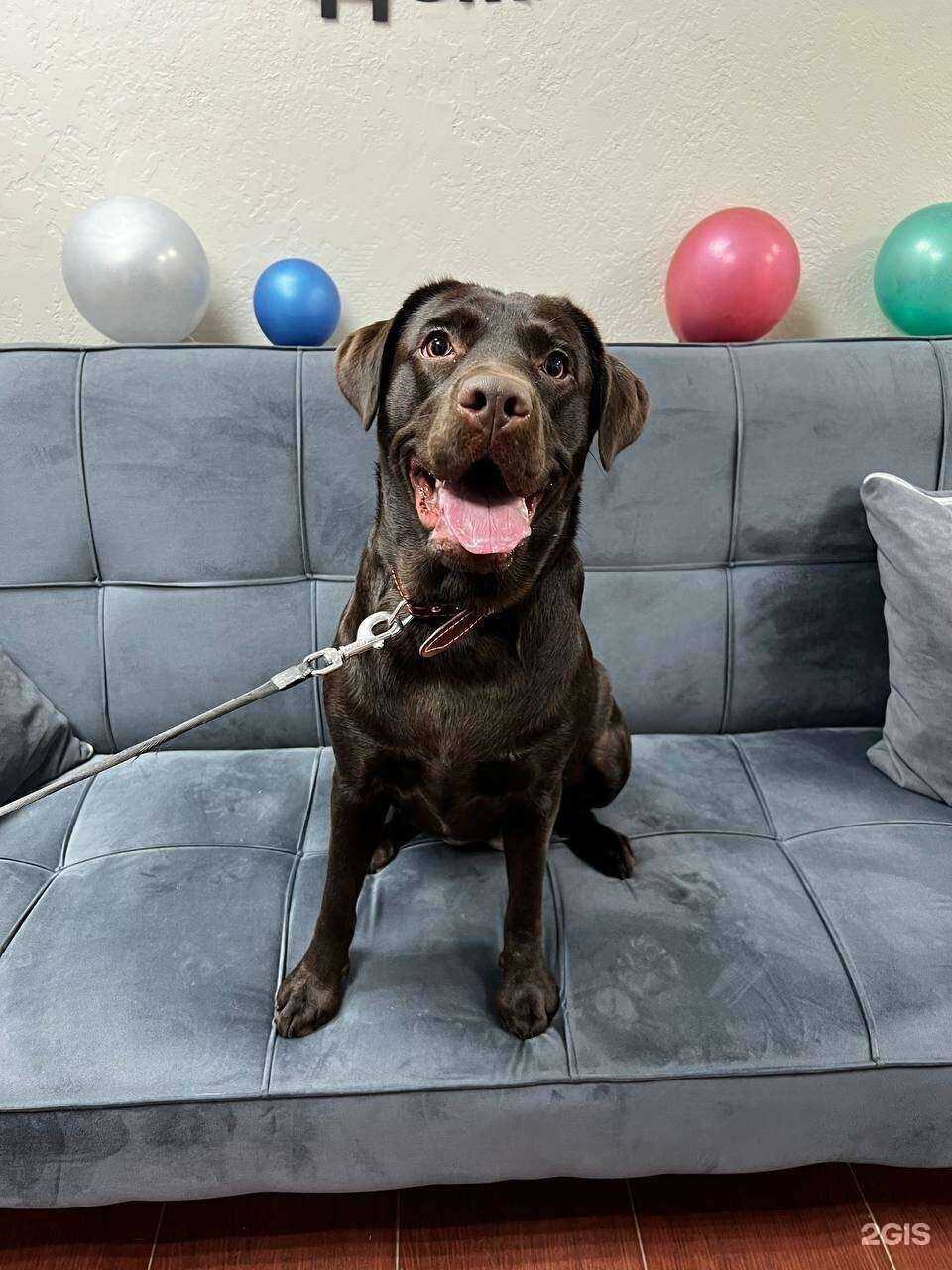 Отзывы на компанию Moska Groom в Нижнем Новгороде c фото