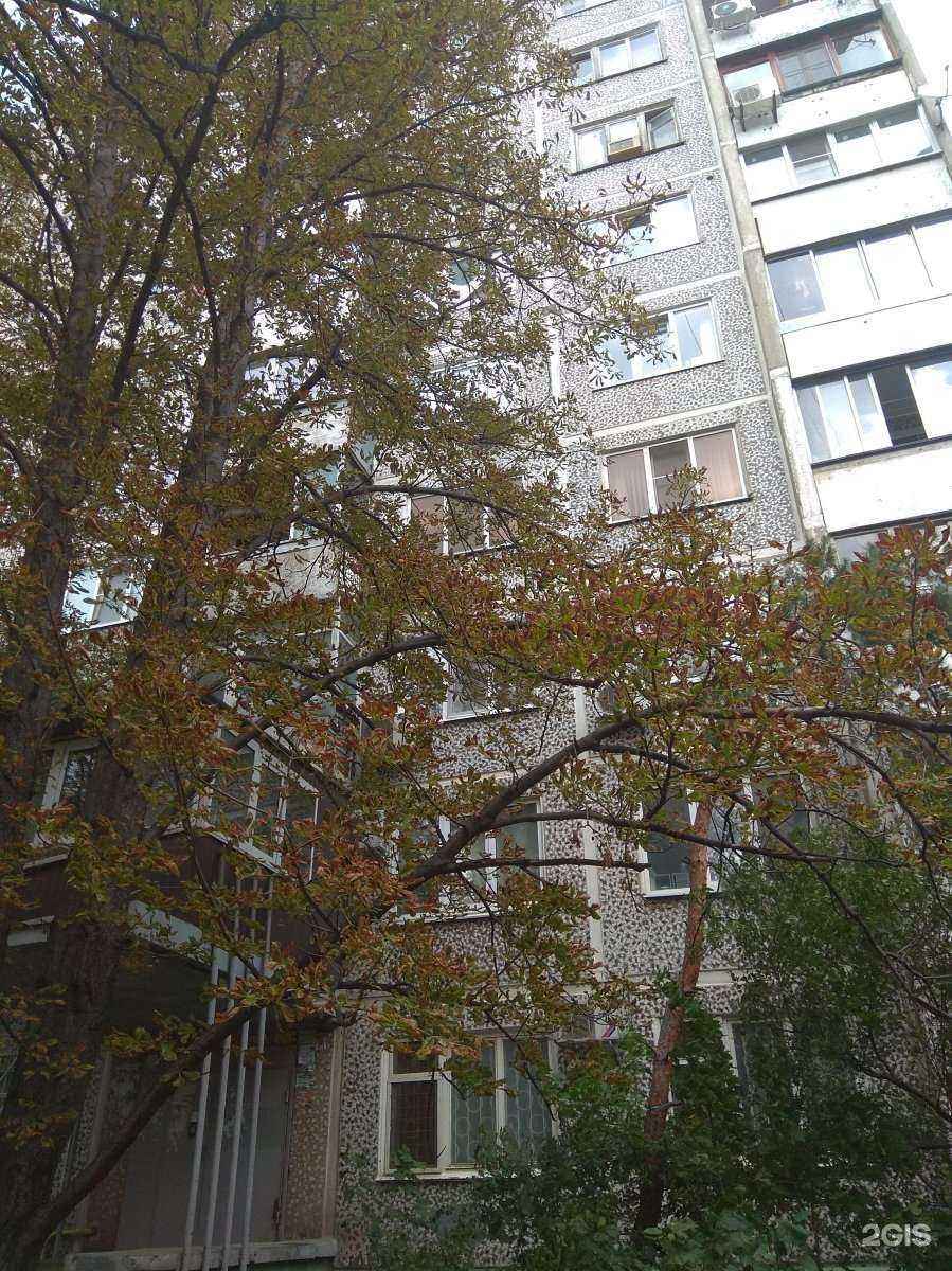 Отзывы на компанию Бамбук в Краснодаре c фото - фотография 2 из 2