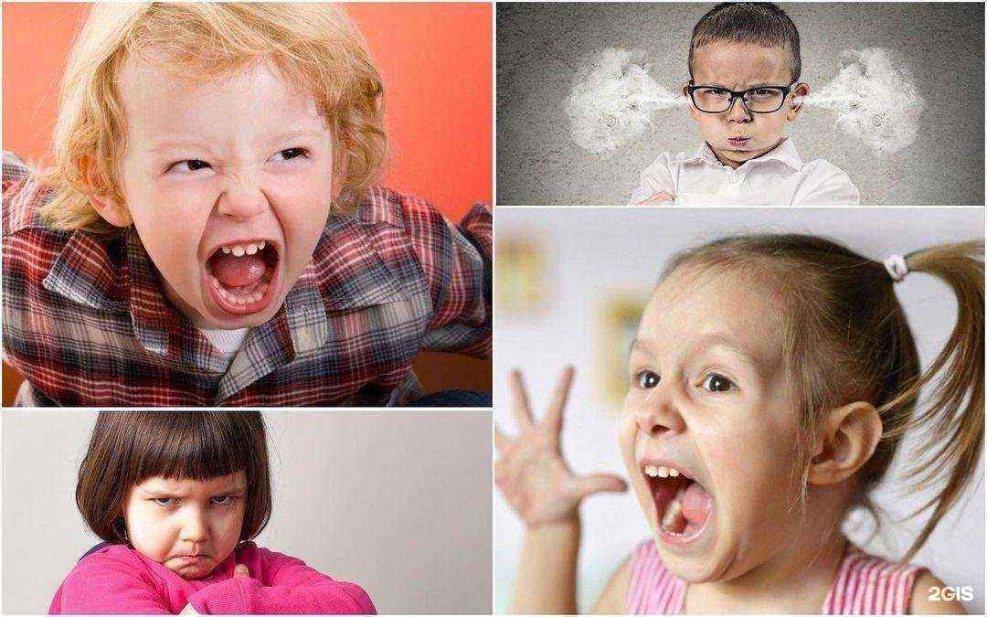 Отзывы на компанию Гармония в Химках c фото