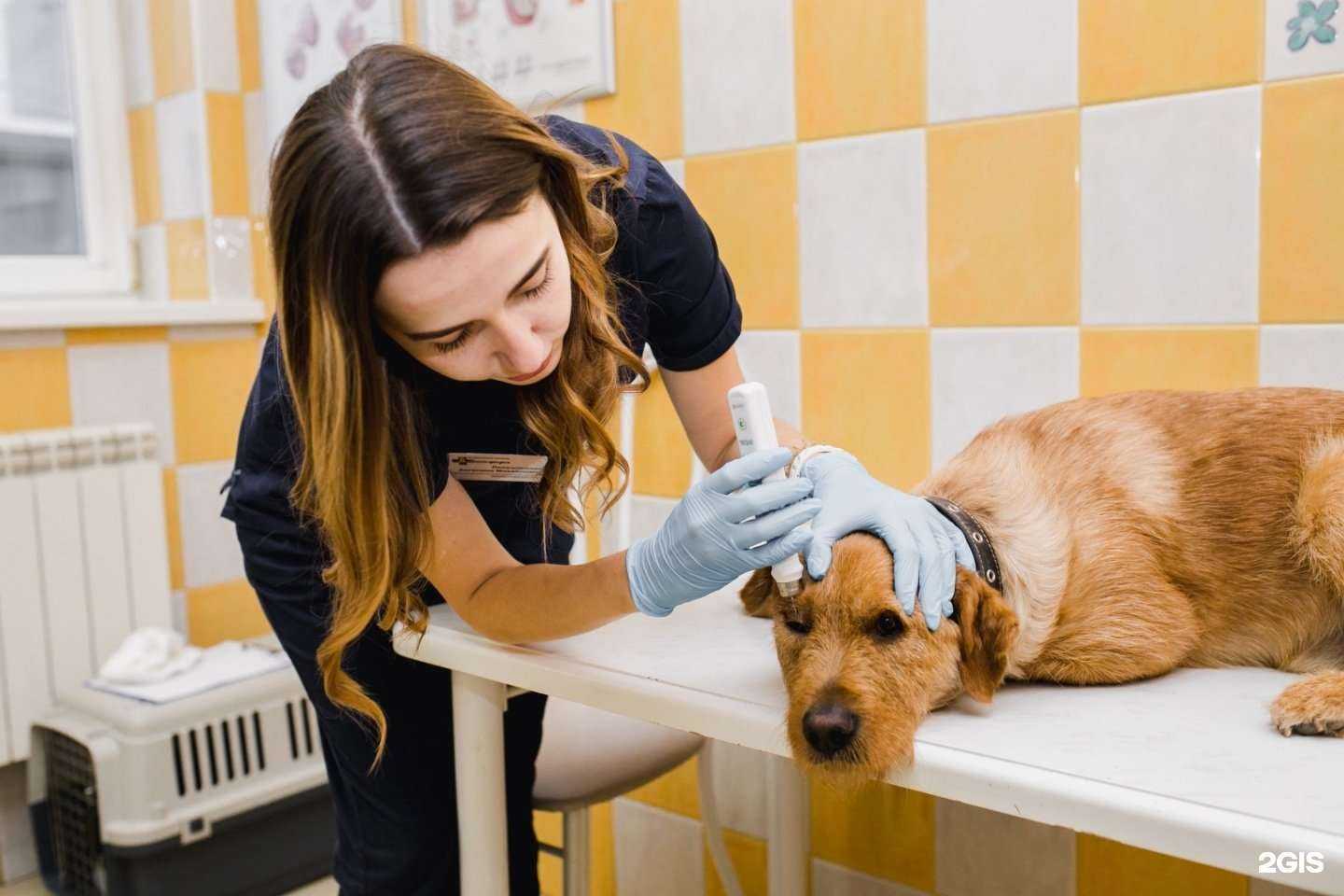 Отзывы на компанию Биосфера в Краснодаре c фото