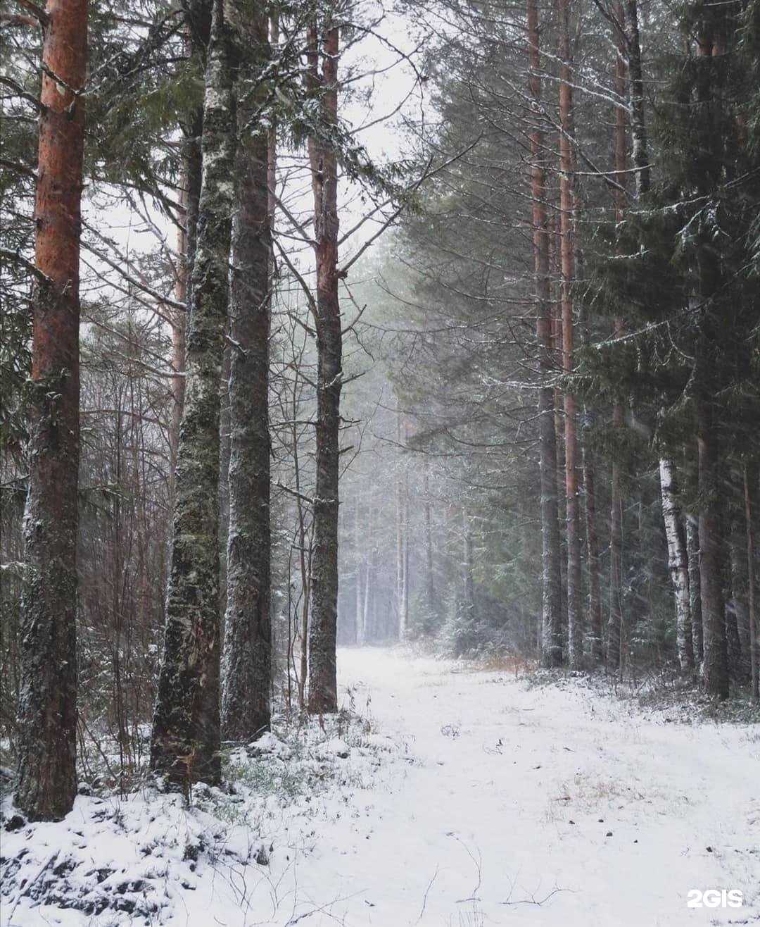 Отзывы на компанию Berloga в г. Сыктывкар c фото