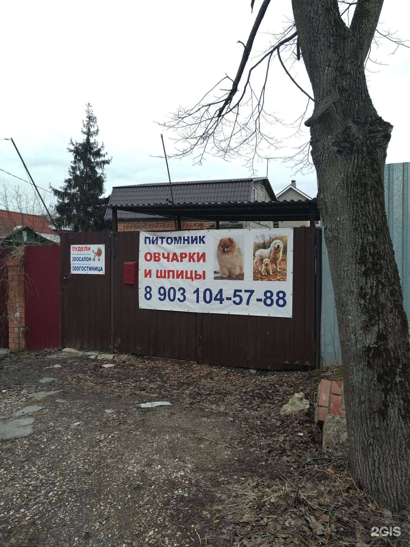 Отзывы на компанию Зоогостиница в г. Балашиха c фото