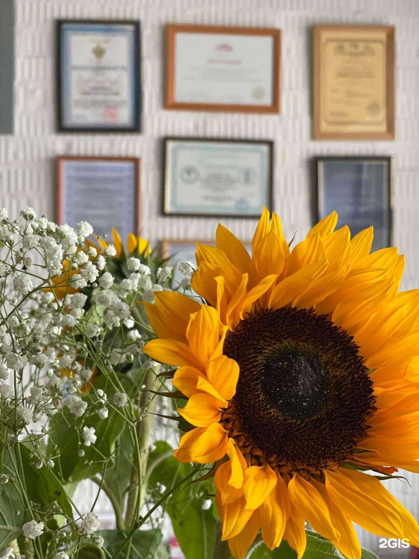 Отзывы на компанию Академия экологии общения в Ярославле c фото