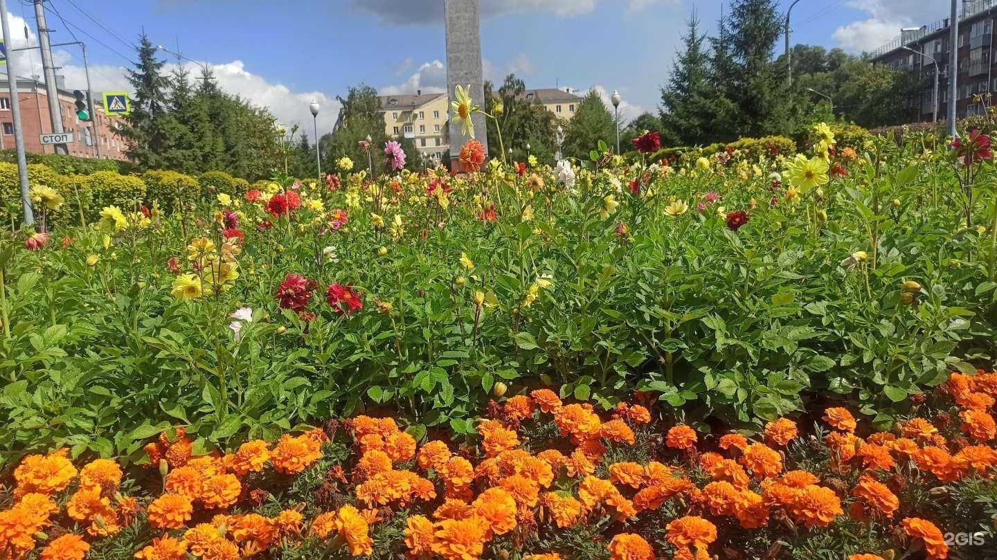 Отзывы на компанию Фундаментальное строительство в Новокузнецке c фото - фотография 2 из 2