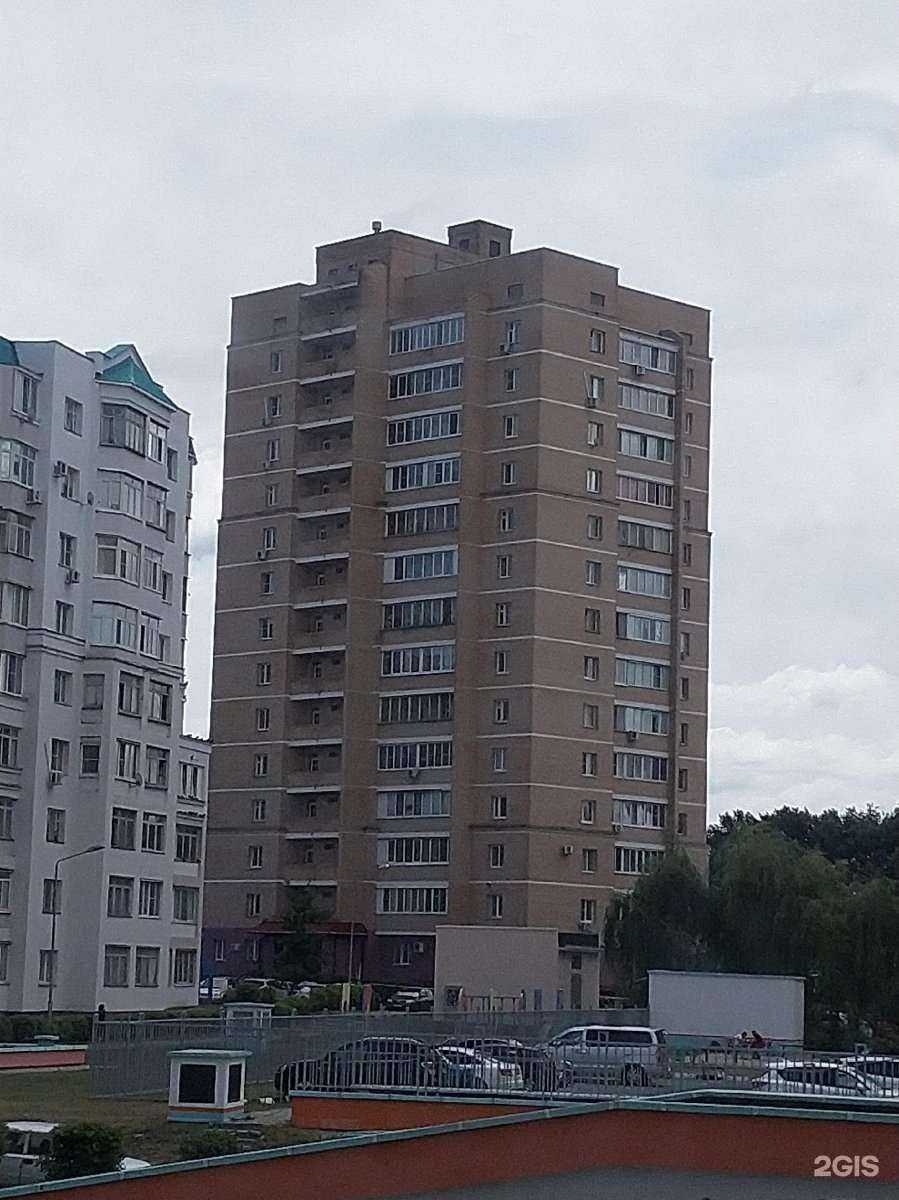 Отзывы на компанию Лиса Л.К. в Старом Осколе c фото - фотография 2 из 2