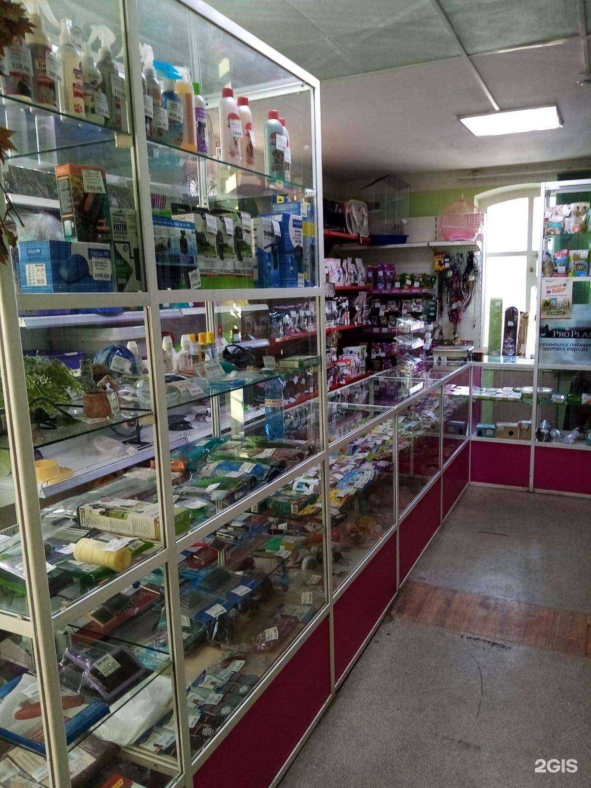 Отзывы на компанию Зоомир в г. Чита c фото