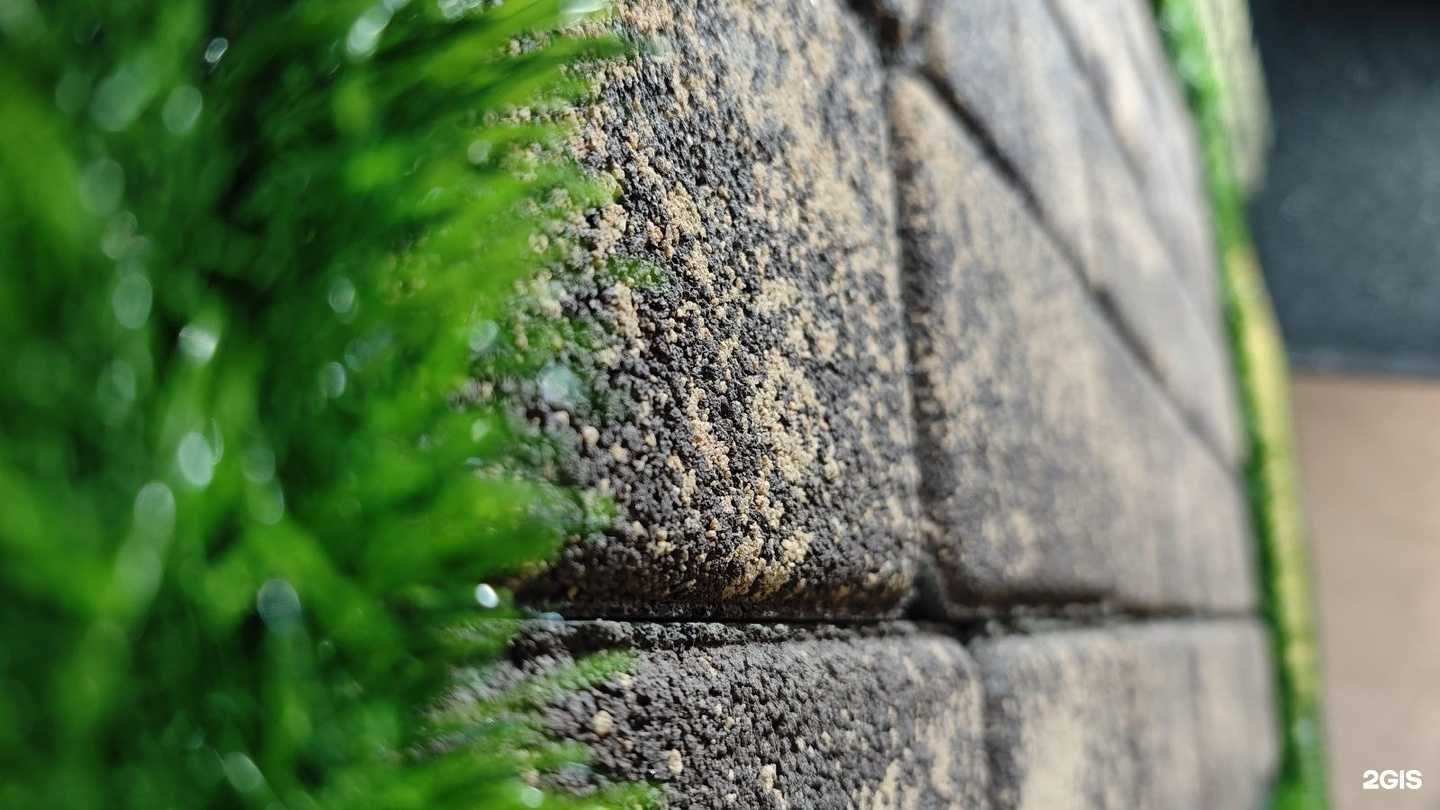 Отзывы на компанию Дворовой в Астрахани c фото