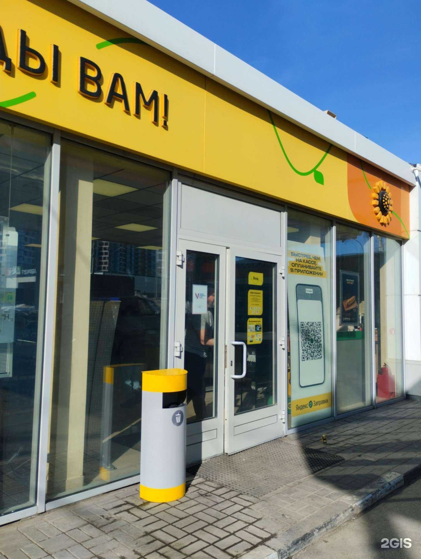 Отзывы на компанию Stardogs в Туле c фото