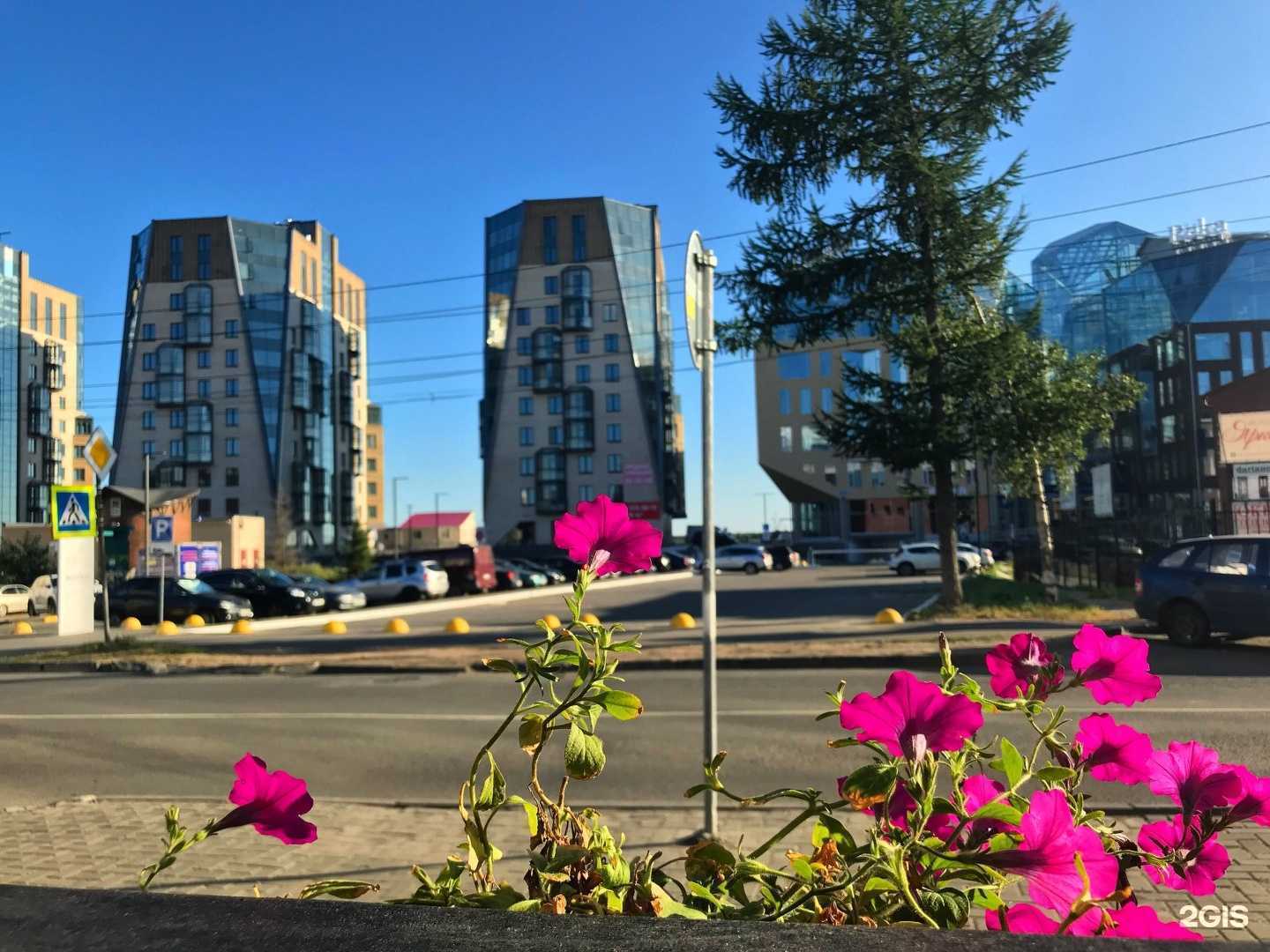 Отзывы на компанию Цифра брокер в Архангельске c фото - фотография 2 из 2