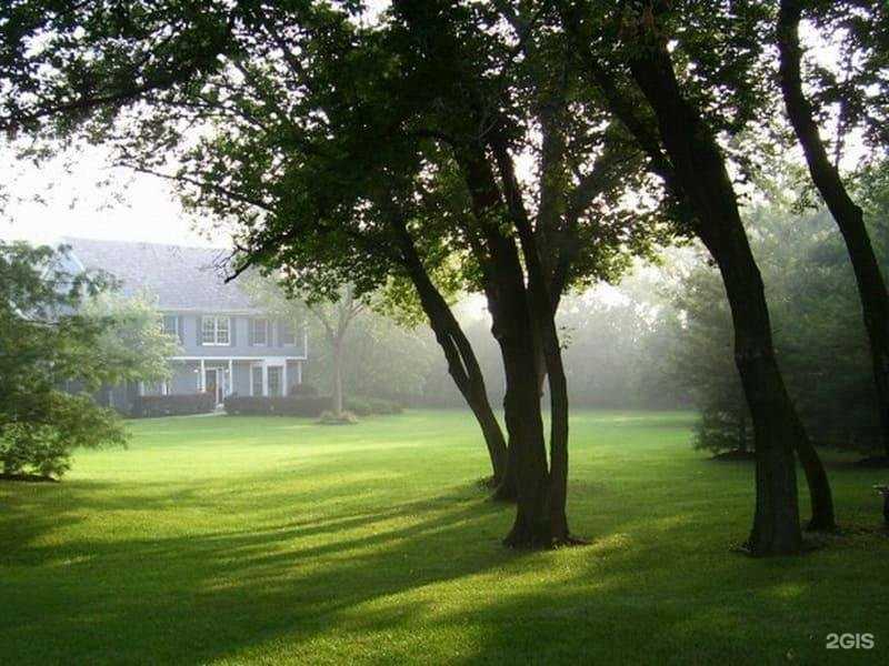 Отзывы на компанию Дизайн Земли в г. Пенза c фото