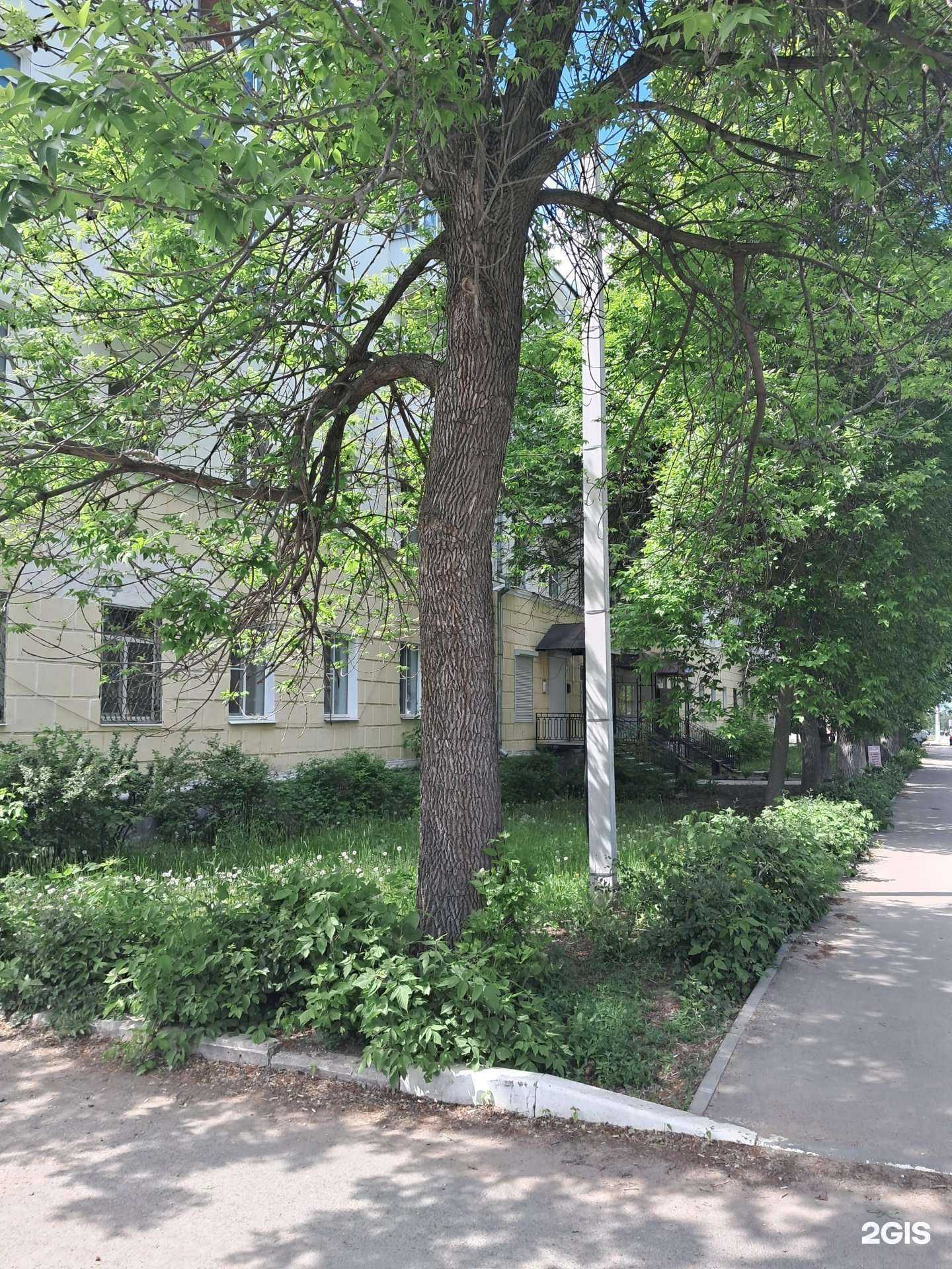 Отзывы на компанию Тревел Тур в Чапаевске c фото - фотография 2 из 2