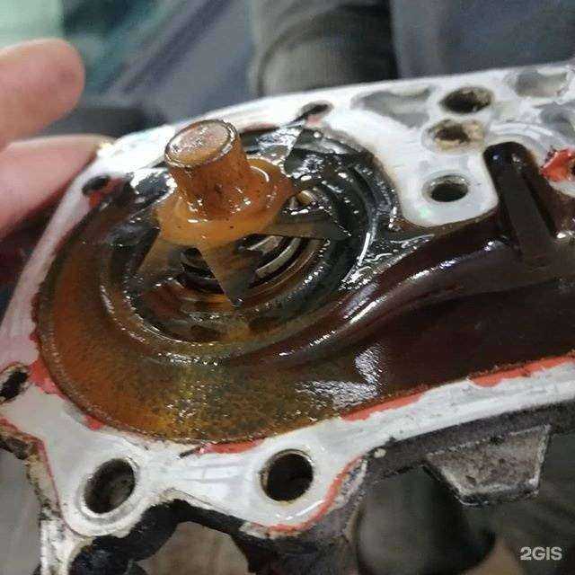 Отзывы на компанию Рено-Альянс в Ростове-на-Дону c фото