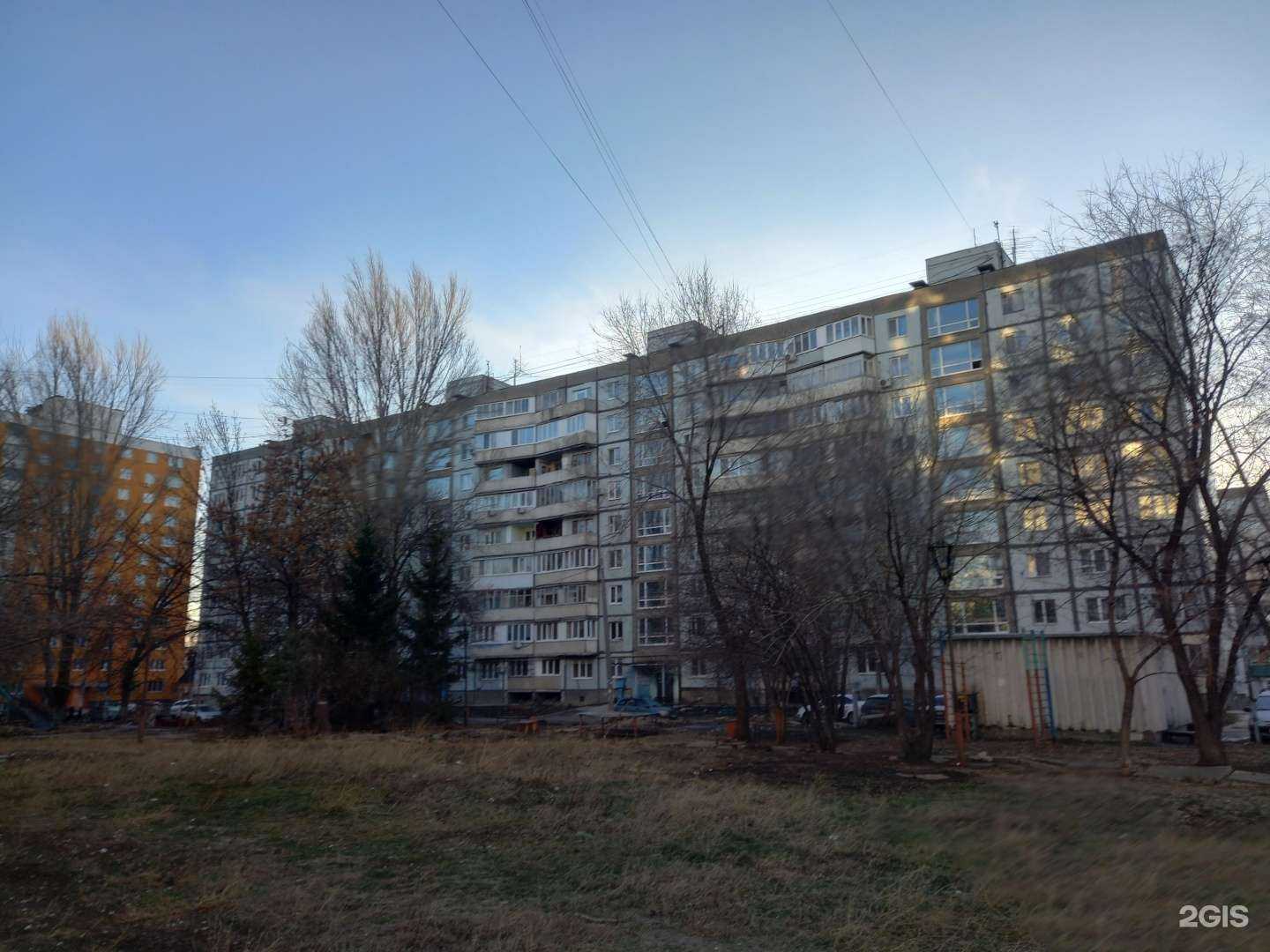 Отзывы на компанию Здоровый пес в Самаре c фото - фотография 2 из 2