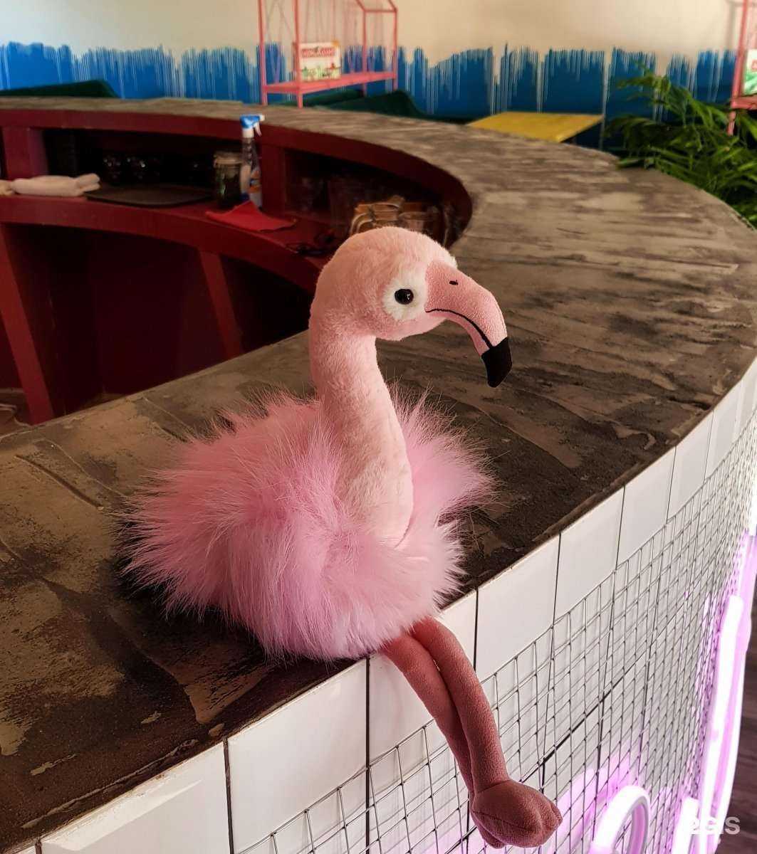 Отзывы на компанию Chill Pill в г. Ставрополь c фото