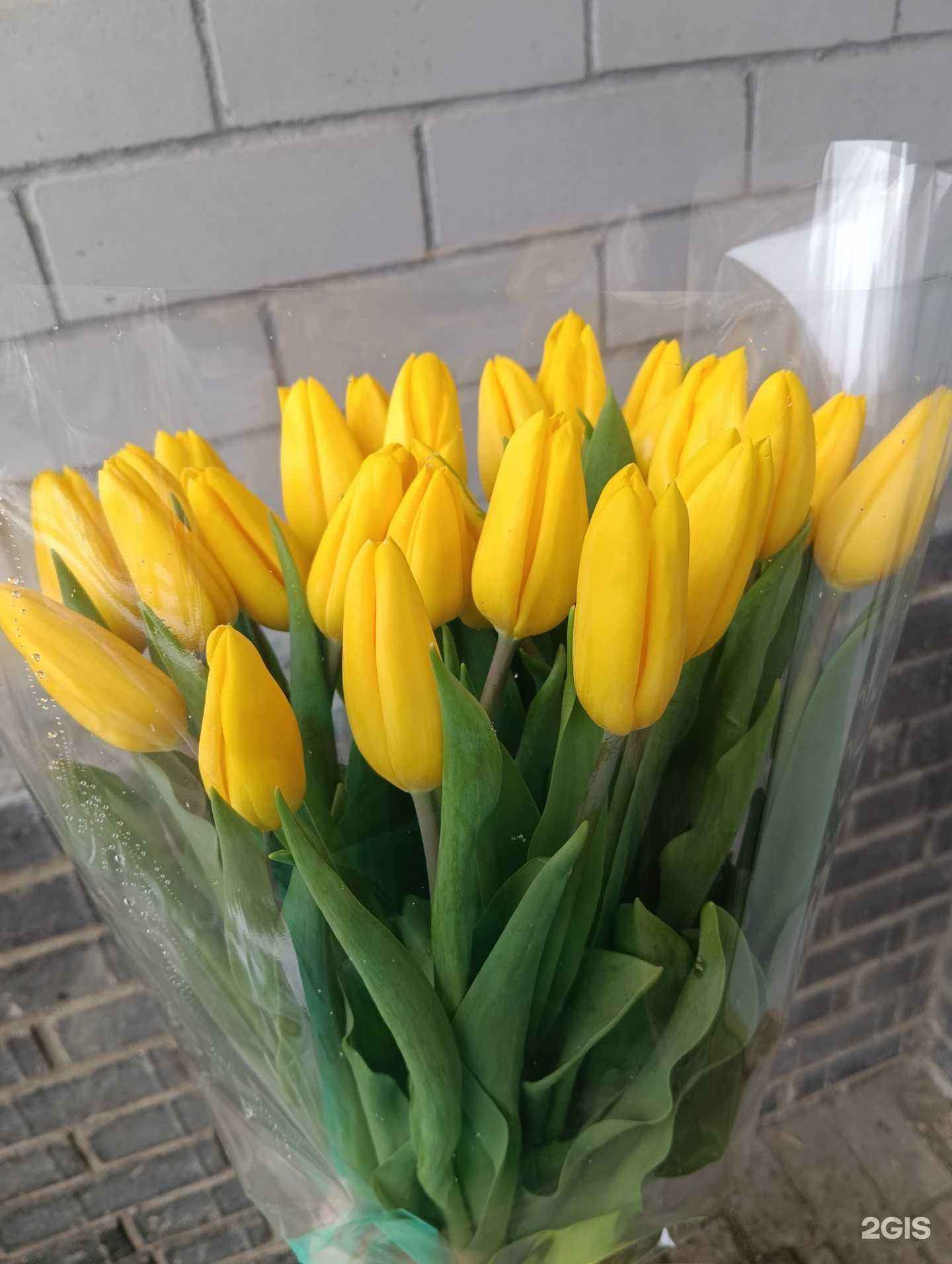 Отзывы на компанию Бутон в Ярославле c фото