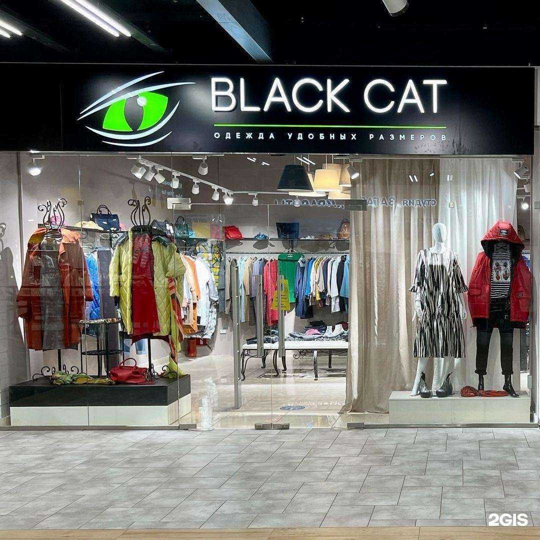 Отзывы на компанию Black cat в Нижнем Новгороде c фото