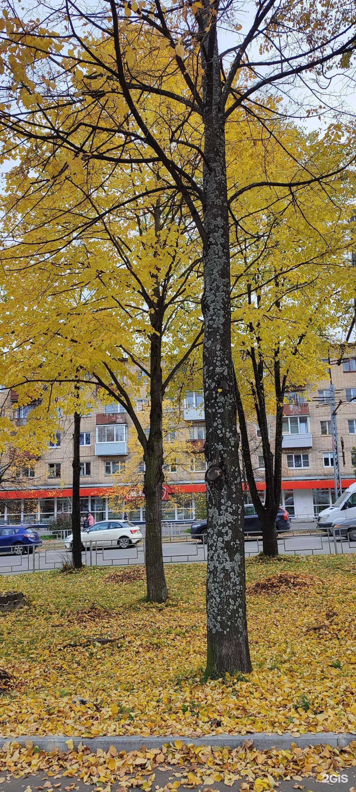 Отзывы на компанию О`блик в Петрозаводске c фото - фотография 2 из 2