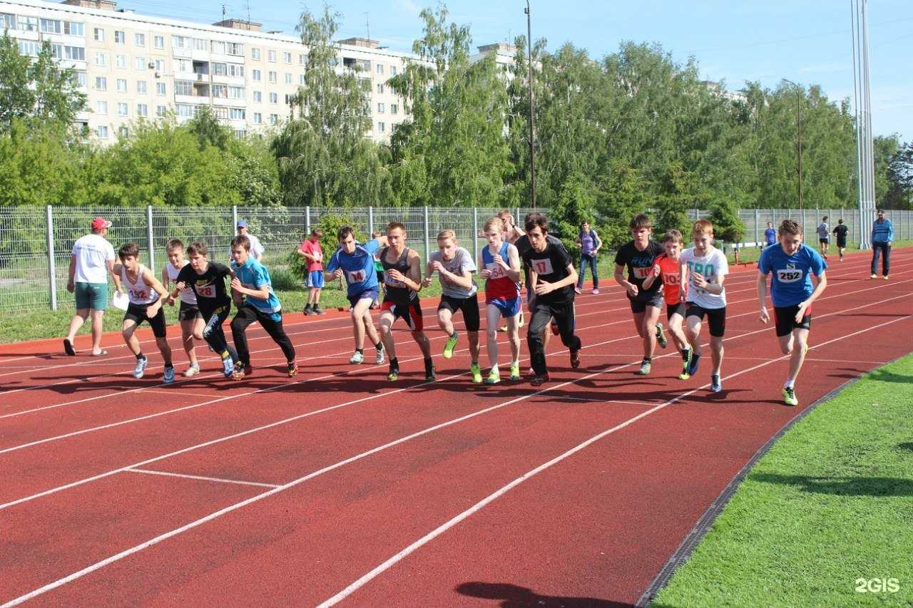 Отзывы на компанию Фламинго в Новосибирске c фото