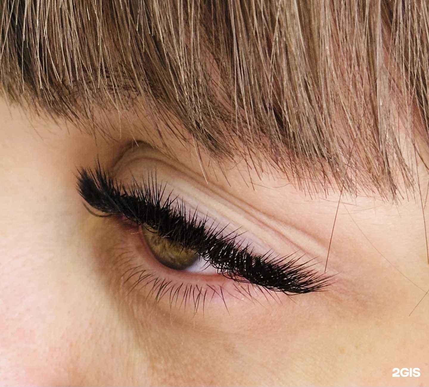 Отзывы на компанию SoloLashes в г. Краснодар c фото