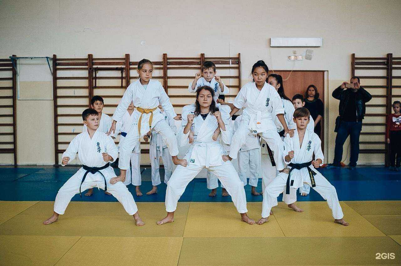 Отзывы на компанию Hajime в Якутске c фото