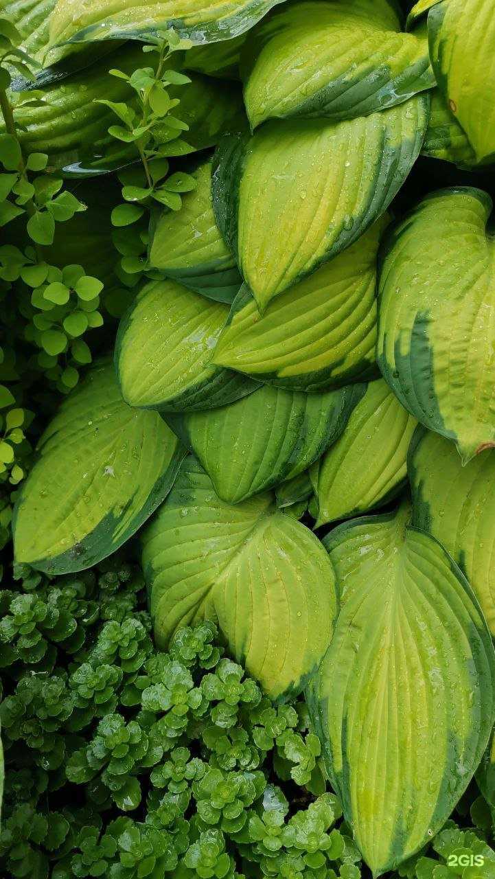 Отзывы на компанию Garden group в Томске c фото