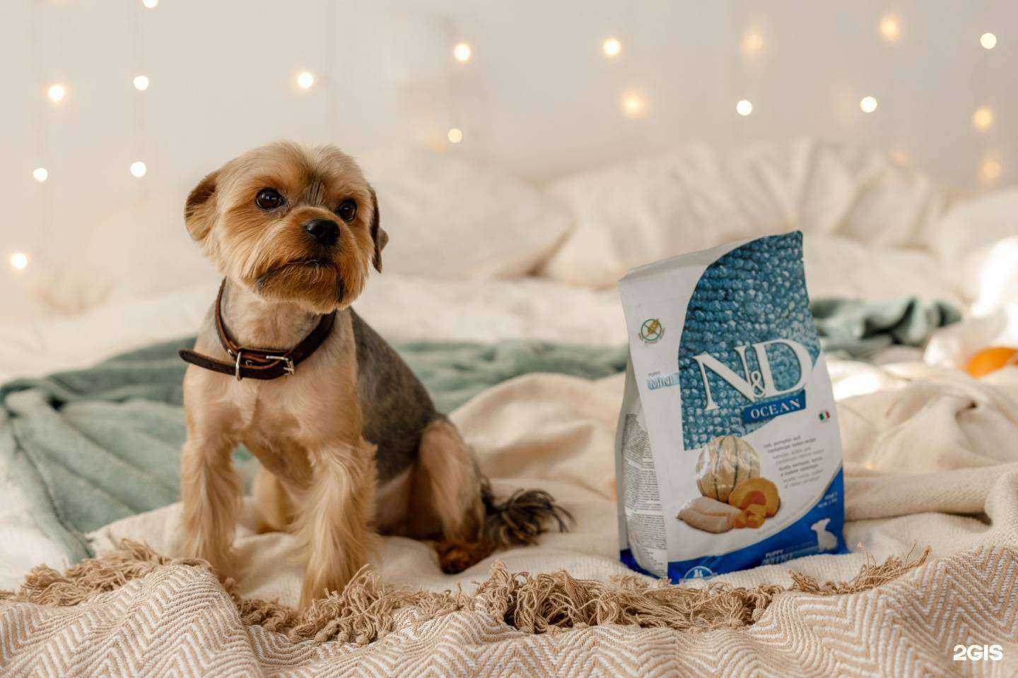 Отзывы на компанию Самый рыжий в Иркутске c фото