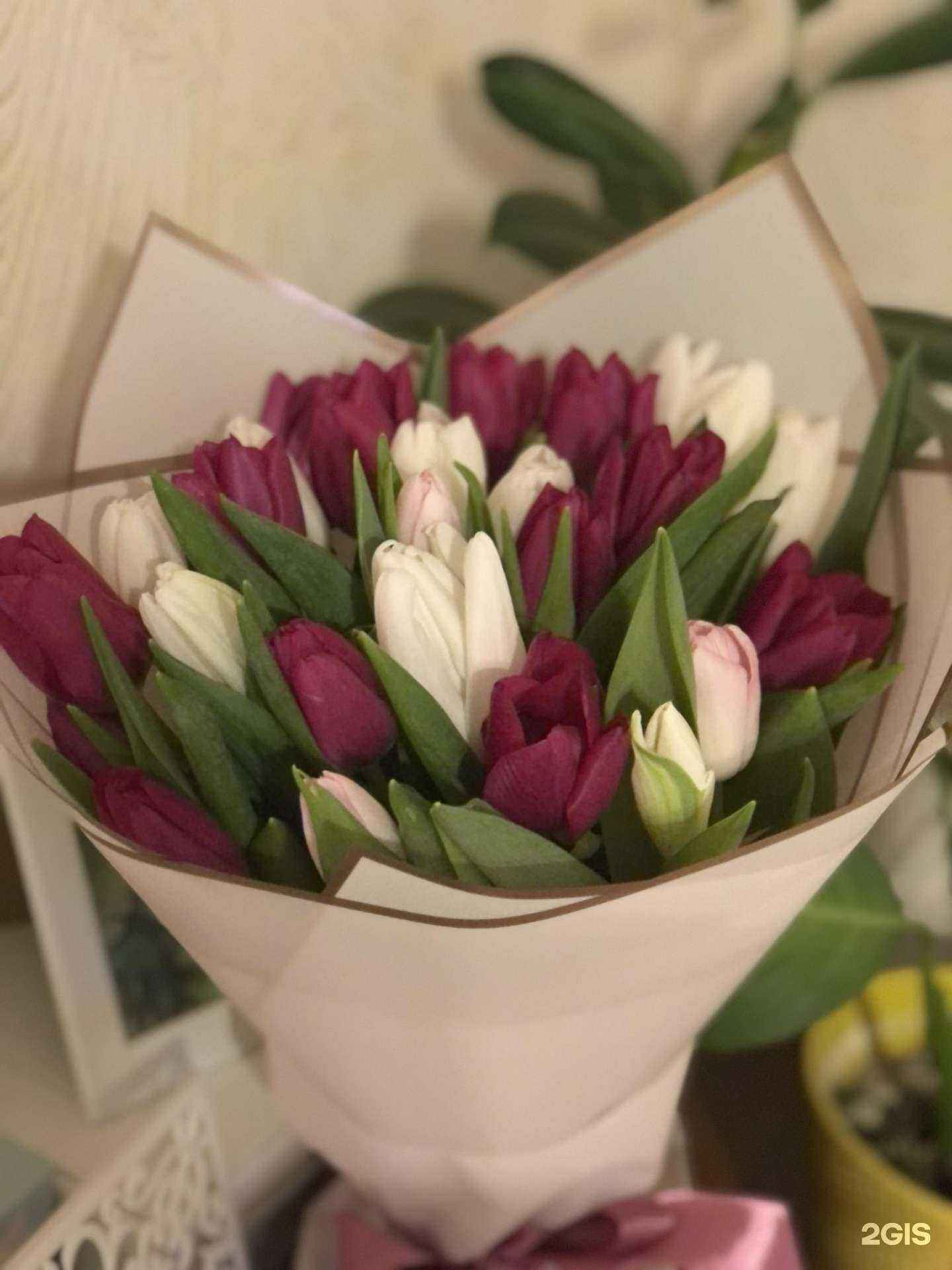 Отзывы на компанию РУСКУС в г. Нижнекамск c фото