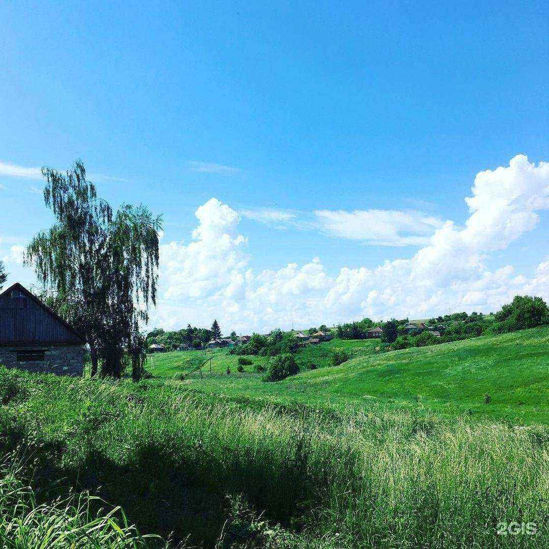 Отзывы на компанию Романов и Партнёры в Курске c фото