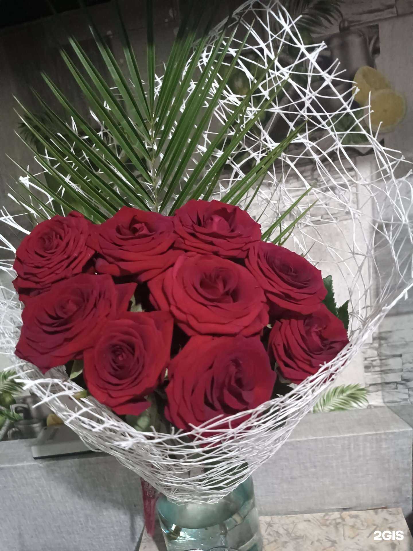 Отзывы на компанию Камелия в г. Бийск c фото