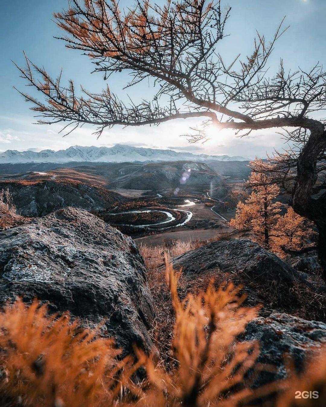 Отзывы на компанию Ренессанс страхование в Петрозаводске c фото