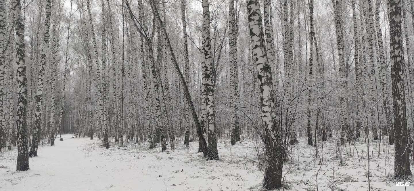 Отзывы на компанию Адреналин в Пензе c фото - фотография 2 из 2