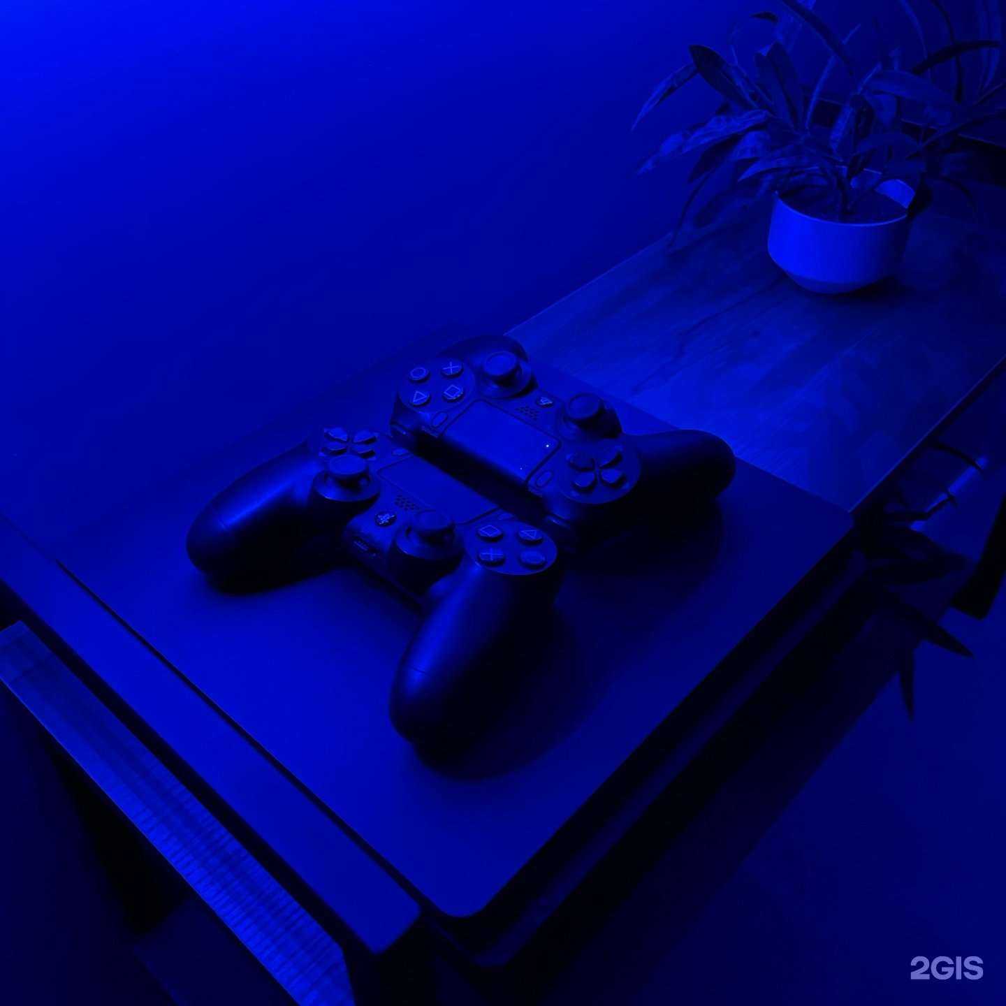 Отзывы на компанию South Central в Нижнем Новгороде c фото