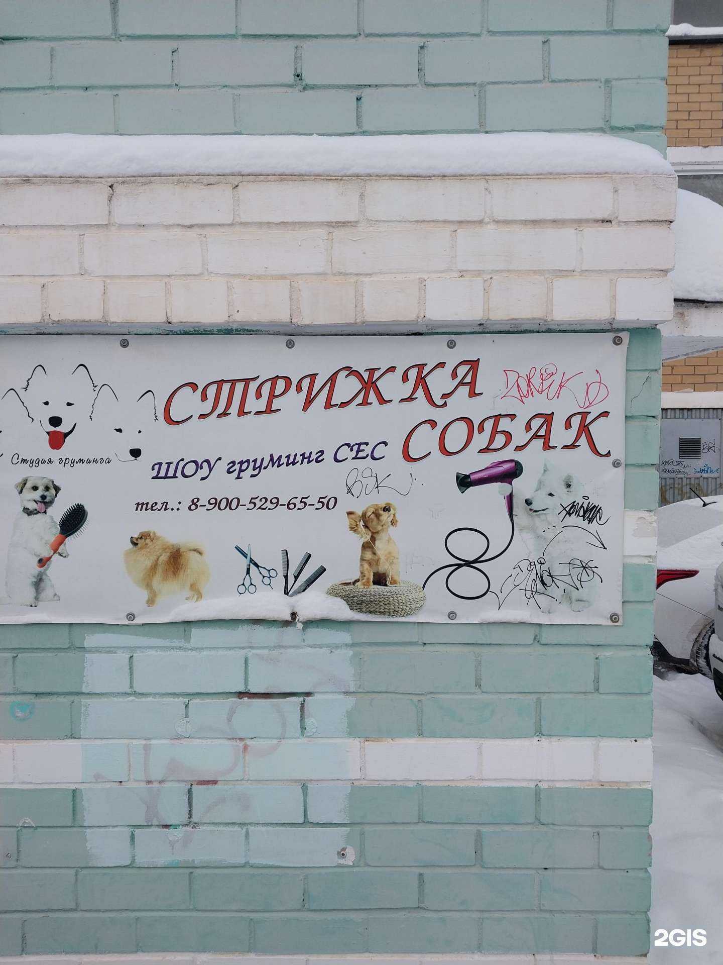 Отзывы на компанию Груминг-студия в Кирове c фото