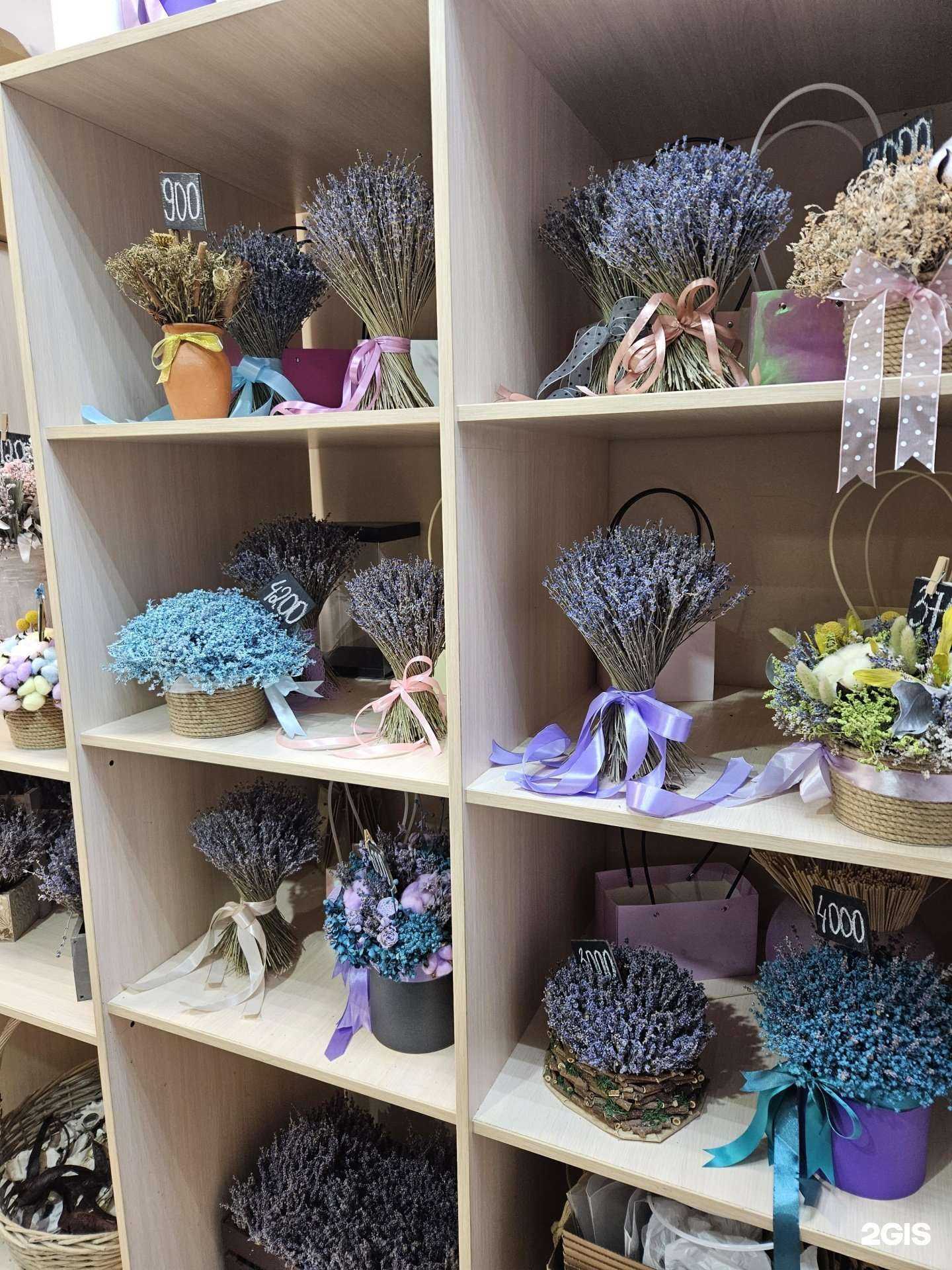 Отзывы на компанию Лаванда в Сочи c фото